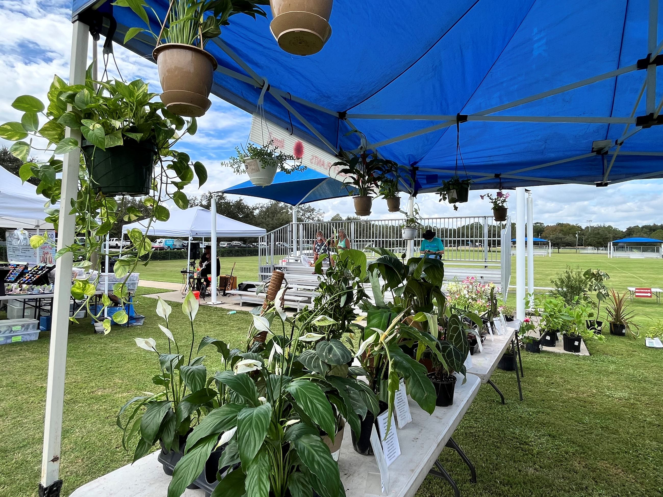 A tent full of plants at a farmers market